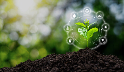Young seedling on growing soil pile with environment icons. Concept of ecology and environmental conservation.