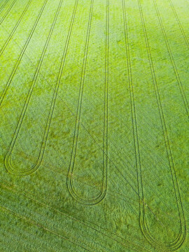 Aerial view of wheel tracks in a green crop in a  paddock