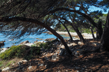 Cap d’Antibes
