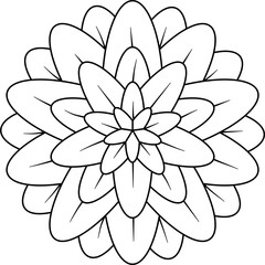 Camallia flower outline vector