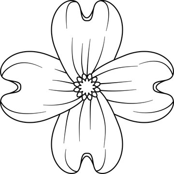 black and white dogwood flower outline clip art preview