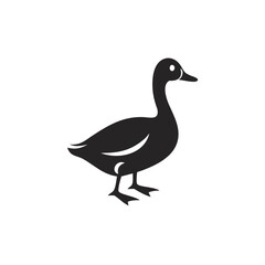 Black duck silhouette