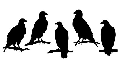 set of eagle silhouette vector on tranparent background