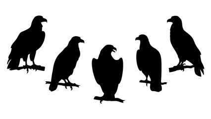 set of eagle silhouette vector on tranparent background
