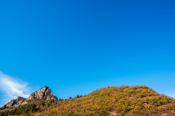 Autumnal Mountainscape under a Clear Sky