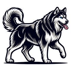 siberian husky vector and illustrations isolated on white background.