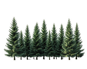 Row of Evergreen Trees on Transparent Background, PNG