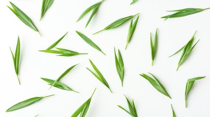 Fototapeta premium Fresh green leaves scattered on white background