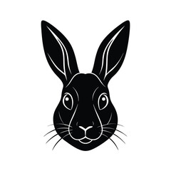 Fototapeta premium Adobe Illustrator Artwork