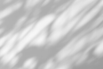 Shadow of leaves tree plant overlay on white wall. Sunlight effect shadow on the wall. Minimal blurred backdrop backgrounds. Summer tropical surface background.