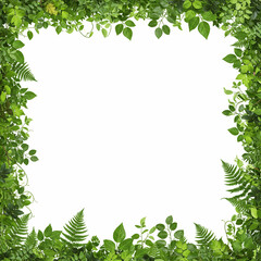 Fototapeta premium green leaves frame