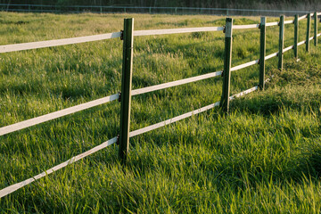Fototapeta premium Electric fence protecting lush green meadow in farmland