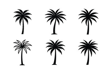 Obraz premium Web