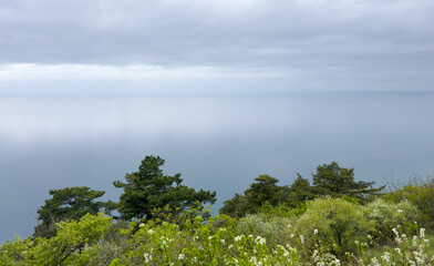 seascape with soft cloudy sky and lush green trees in the foreground. minimalistic natural sea background with space for text