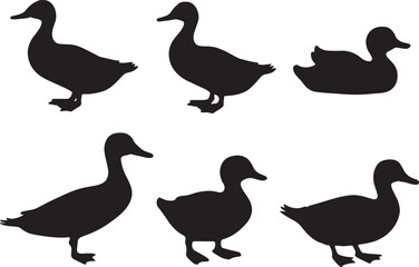 set of duck silhouettes