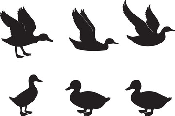 Fototapeta premium set of silhouettes of birds