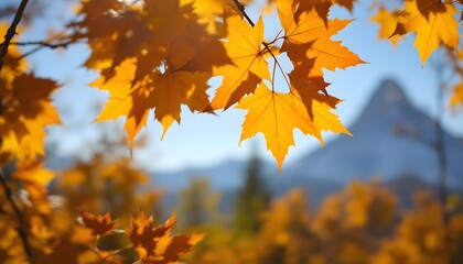 Obraz premium Golden Maple Leaves Frame Distant Mountain Peak in Autumn Scene