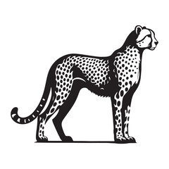 Fototapeta premium Crisp cheetah silhouette vector designed for digital and print media – cheetah silhouette – cheetah vector – cheetah illustration – silhouette of cheetah