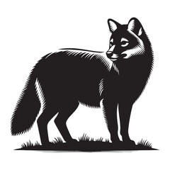 Obraz premium Sleek dhole silhouette vector designed for modern branding applications – dhole silhouette – dhole vector – dhole illustration – silhouette of dhole