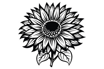 Vector silhouette of a sunflower.