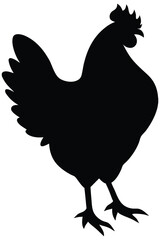 Black Chicken Silhouette Isolated on White Background – Farm Animal Illustration