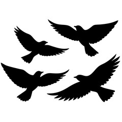 silhouette of a bird silhouette vector illustration on white background.