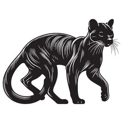 Obraz premium Clean-lined fossa silhouette perfect for professional digital designs, logos, and scalable branding – fossa silhouette – fossa vector – fossa illustration – silhouette of fossa