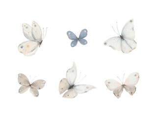 Watercolor set of abstract delicate butterflies, isolated collection of hand drawn design elements.