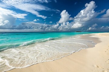 Fototapeta premium Tropical beach with blue sky and calm waves on a sunny summer day.