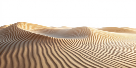 Stunning panorama of golden sand dunes stretching to the horizon under a clear sky.