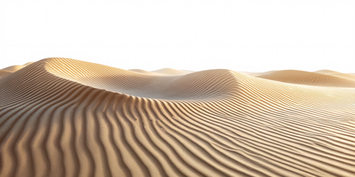 Stunning panorama of golden sand dunes stretching to the horizon under a clear sky.