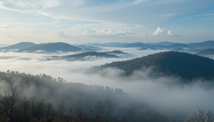 Fototapeta premium mountain landscape with fog