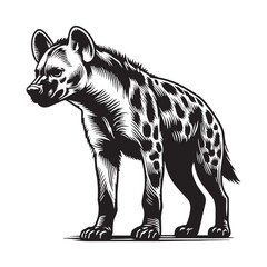 Dynamic hyena silhouette created for high-quality logos, web branding, and digital design – hyena silhouette – hyena vector – hyena illustration – silhouette of hyena

