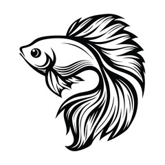 Betta Fish Elegant Silhouette, Siamese Fighting Fish, Aquatic Animal Black and White