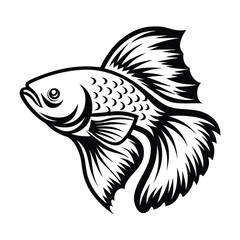 Intricate Black and White Betta Fish with Detailed Fins and Scales