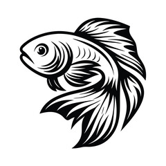 Elegant Black and White Betta Fish with Flowing Fins and Detailed Scales