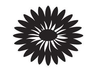 Gaillardia Bloom for Vibrant Floral Arrangements, Garden Decor, and Seasonal Styling