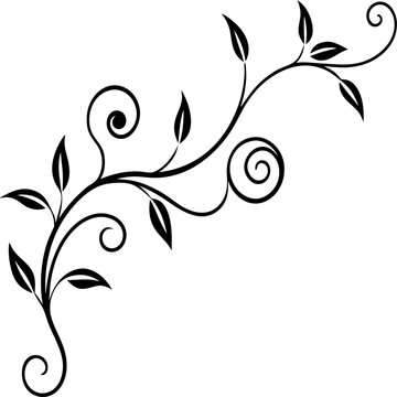 Lines, flower vines, abstract17