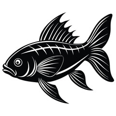 Stylized Black & White Fish Silhouette With Elaborate Fins & Intricate Body Markings