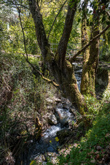 On the Trail in Marathasa Valley, beneath Kalopanayiotis Village in the Troodos Mountains, with the stream, the small waterfall, and Oikos Village views along the hike, Nicosia District, Cyprus.
