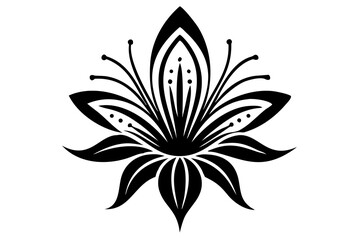 Lily Blossom Illustration, Elegant Lily Flower Sketch, Beautiful Lily Bloom Drawing, PNG Transparent