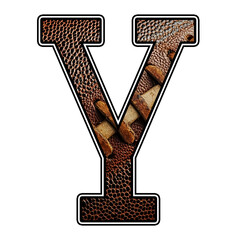 American Football Letter Y Sports Font Design  Varsity Athletic Clipart