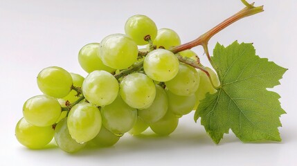 Fresh Green Grapes Cluster with Stem and Leaf Attached on White Background