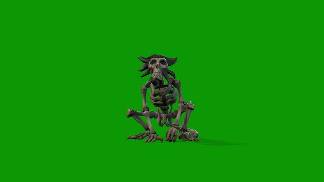 Monkey Skeleton Angry Scene 3D Rendering Animation On Green Screen