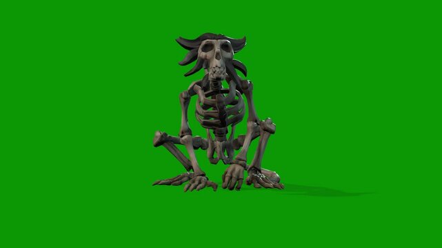 Monkey Skeleton idle Scene 3D Rendering Animation On Green Screen