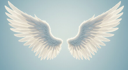 Fototapeta premium Pair of Elegant White Angel Wings