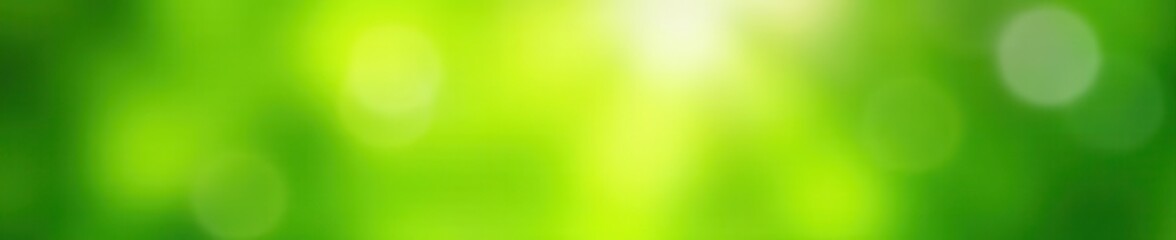 Blurred green foliage, bright sky bokeh, natural light,  photo,  background,  blur