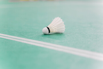 sstkWellness presents a clean and vibrant view of an indoor badminton court, emphasizing clarity, structure, and the foundation for movement and play. The symmetrical lines, smooth wooden flooring, an