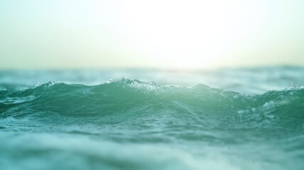 Fototapeta premium A gentle ocean wave rises under soft sunlight, creating a serene and calming seascape.