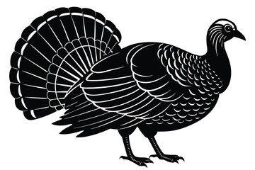  turkey silhouette vector illustration. 